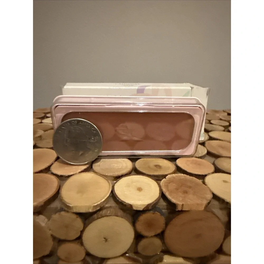 Mary Kay POWDER‎ PERFECT Cheek Color Cashmere #3538 NOS In Box .24oz